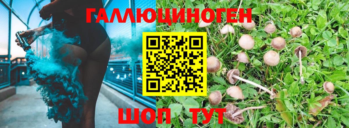 Коркино  Галлюциногенные грибы MAGIC MUSHROOMS  Псилоцибиновые грибы GOLDEN TEACHER  Вход с VPN 