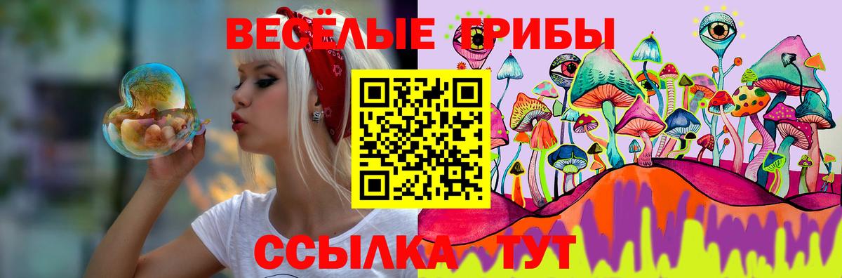 Псилоцибиновые грибы GOLDEN TEACHER Коркино